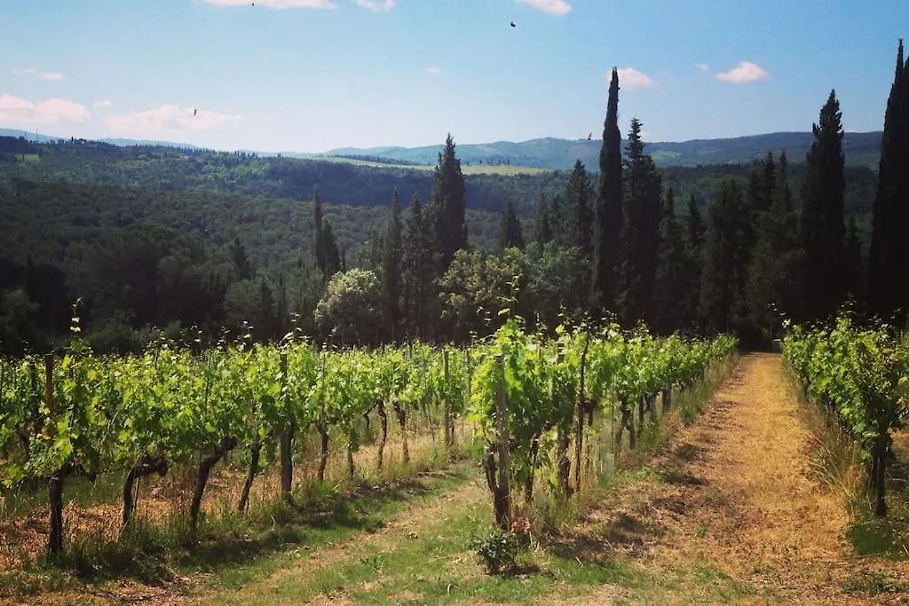 Hébergement de vacances Apt Rebecca - Apartment In Villa In The Vineyard Strada in Chianti Italie